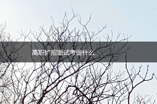 高职扩招面试考些什么
