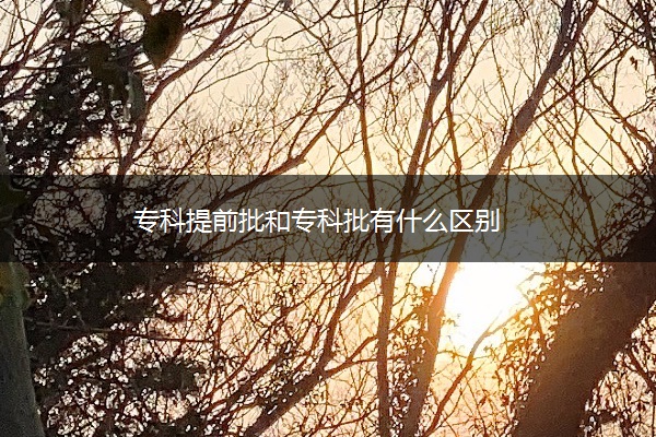 专科提前批和专科批有什么区别