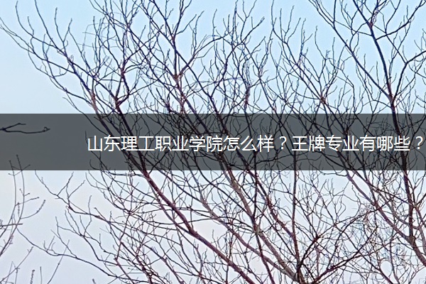 山东理工职业学院怎么样？王牌专业有哪些？