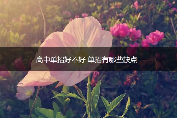 高中单招好不好 单招有哪些缺点
