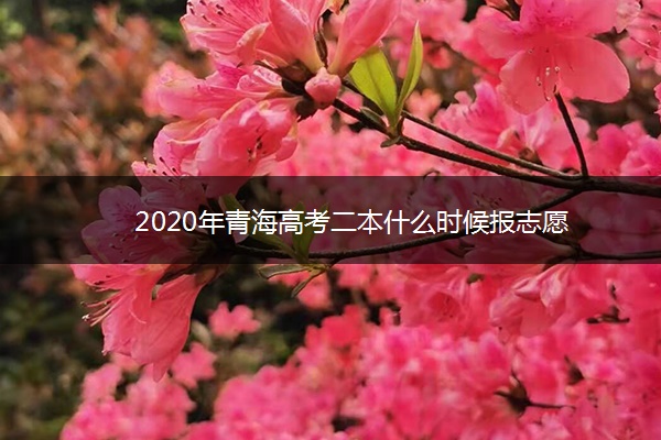 2020年青海高考二本什么时候报志愿