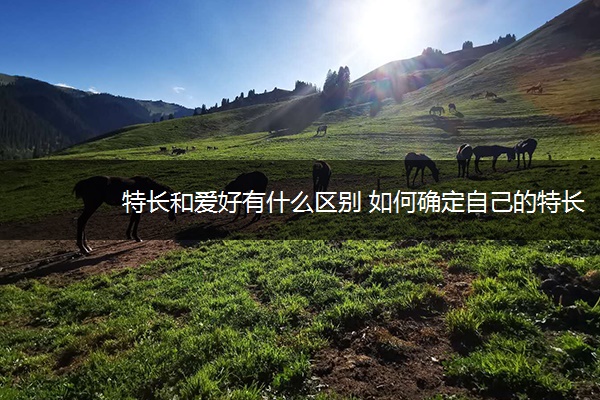 特长和爱好有什么区别 如何确定自己的特长