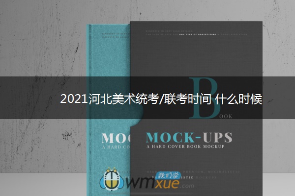 2021河北美术统考/联考时间 什么时候考试