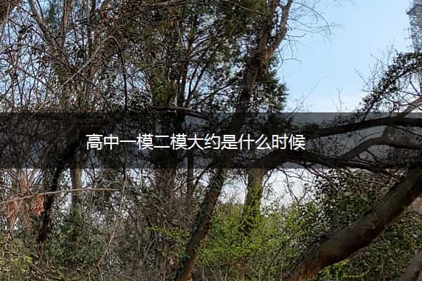 高中一模二模大约是什么时候