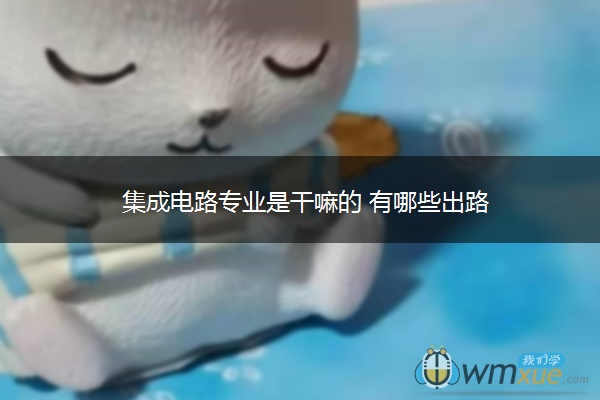 集成电路专业是干嘛的 有哪些出路