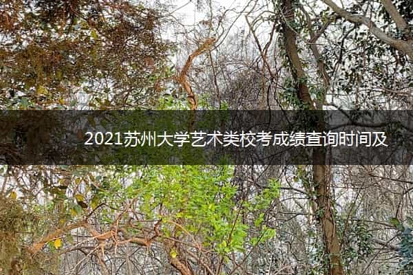 2021苏州大学艺术类校考成绩查询时间及入口