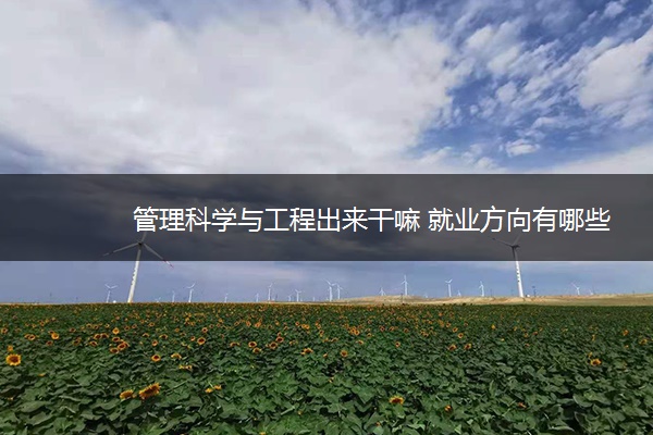 管理科学与工程出来干嘛 就业方向有哪些