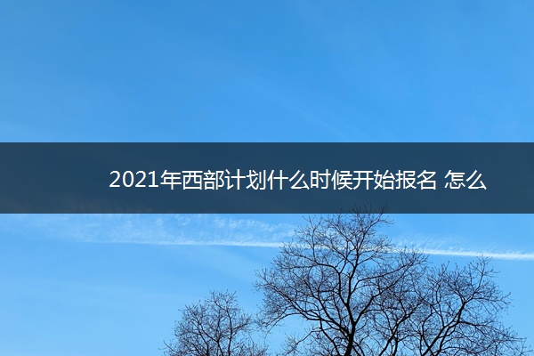 2021年西部计划什么时候开始报名 怎么报名