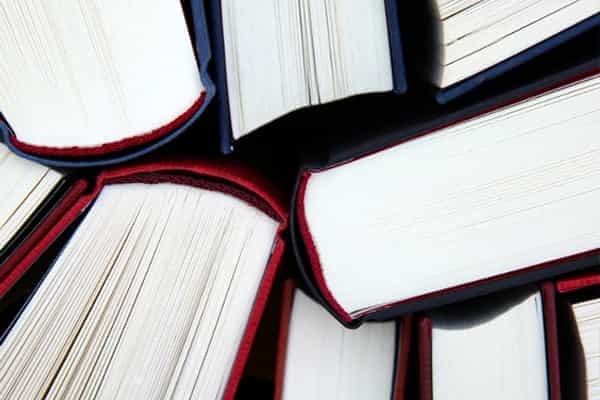 2024广西财经学院录取分数线：最低400分（含各专业录取最低分）