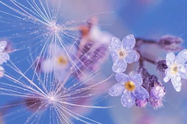 安徽历化地524分左右可以上什么大学及专业 冲稳保院校推荐（2026参考）