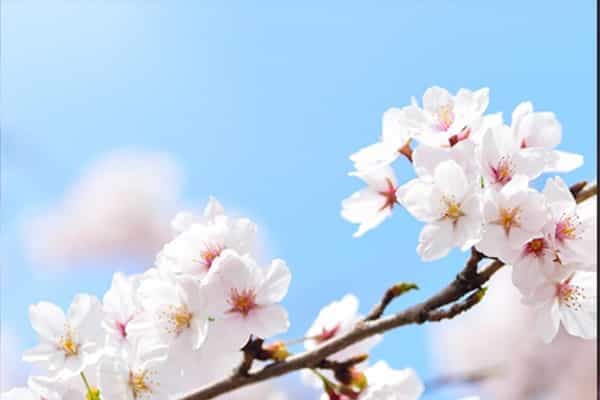 四川哪些大学招生现代通信技术专业及选科要求 共28所高校和开设学校推荐（2026参考）